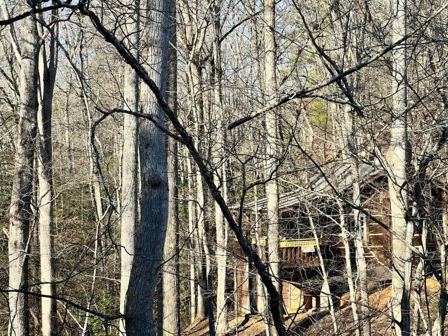 Boozy Bear Bungalow Romantic Cabin 5 Mins 2 Downtown With Hot Tub And Fire Pit Gatlinburg Εξωτερικό φωτογραφία